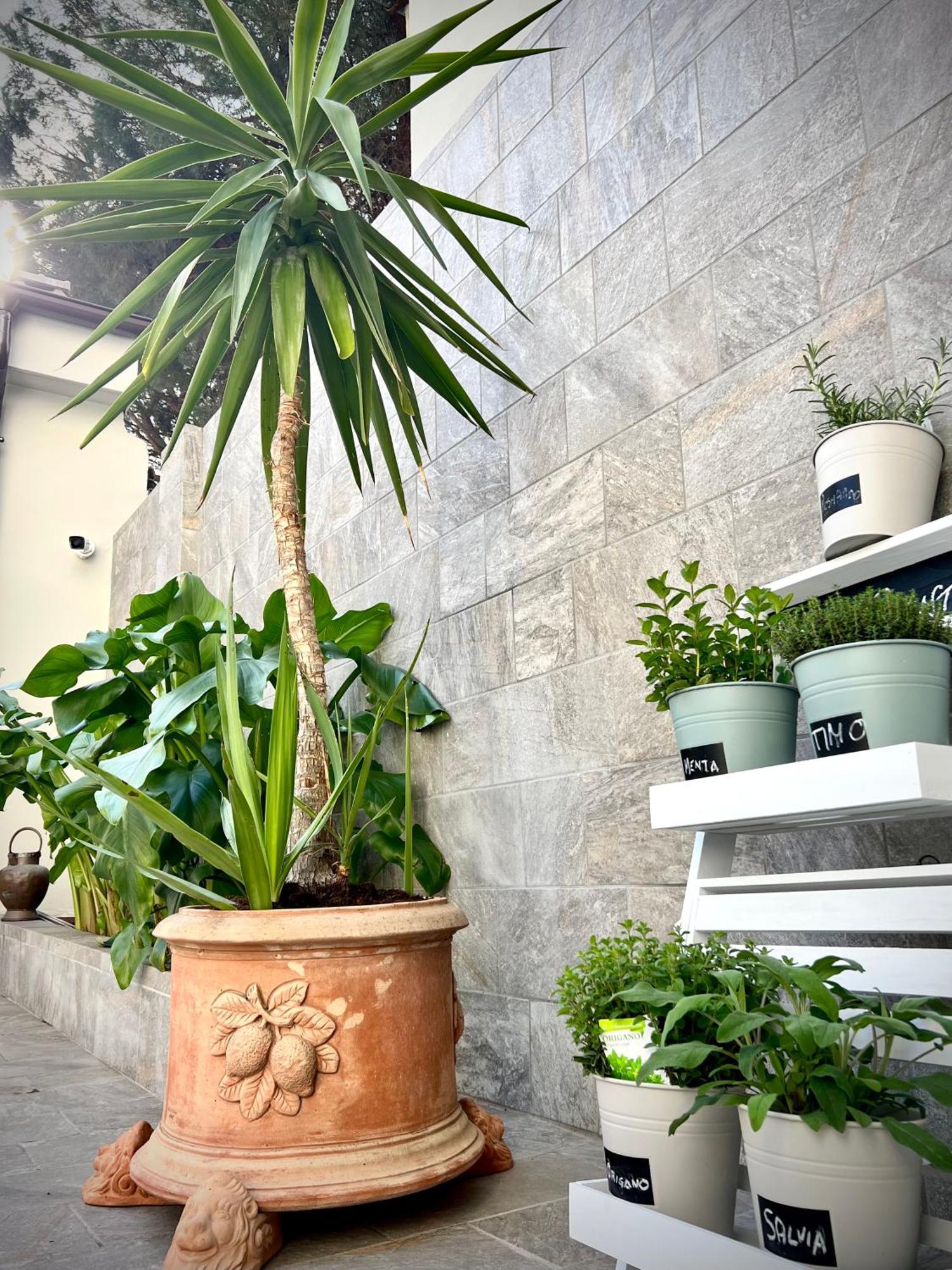 Bed and Breakfast Lucentum Prato  Exterior foto